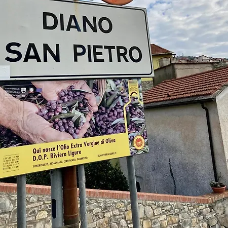 Дом отдыха Casa Mediterraneo *