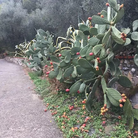 Casa Mediterraneo Diano San Pietro