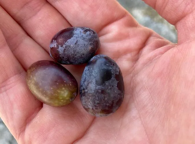 Casa Mediterraneo Сasa de vacaciones