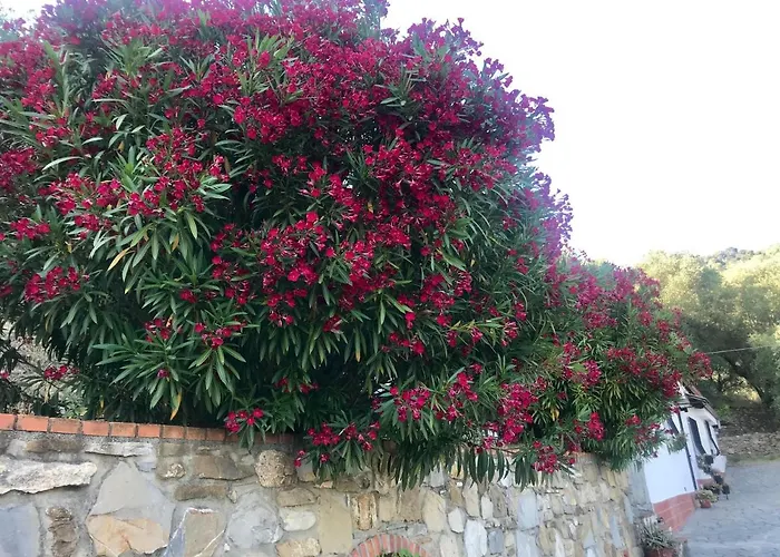 Hébergement de vacances Casa Mediterraneo Diano San Pietro