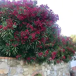 Tatil Evi Casa Mediterraneo Diano San Pietro