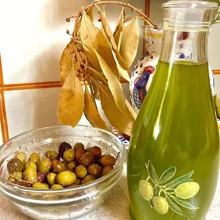 Hébergement de vacances Casa Mediterraneo *