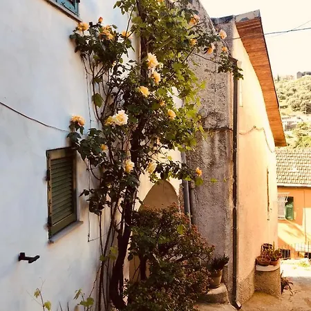 Tatil Evi Casa Mediterraneo