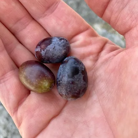 Casa Mediterraneo Hébergement de vacances