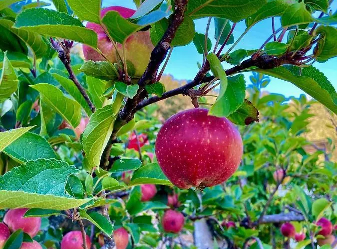 Casa Mediterraneo Semesterbostad Diano San Pietro