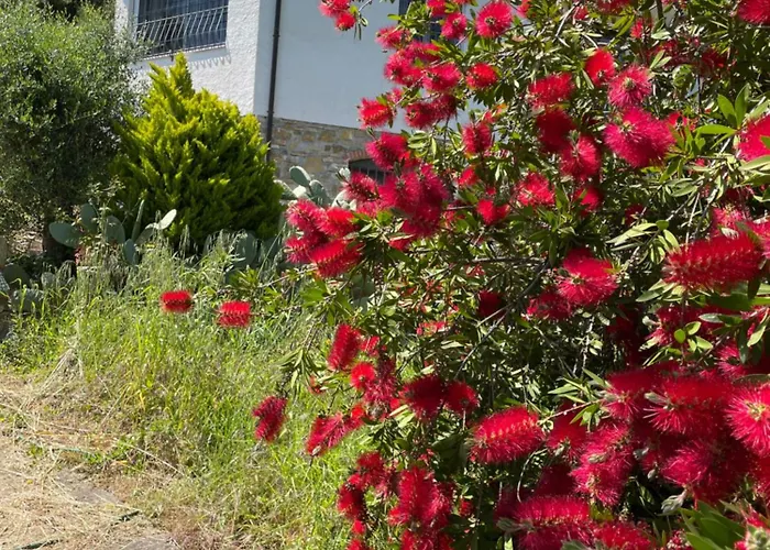 Casa Mediterraneo Semesterbostad