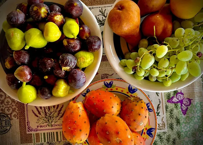 Casa Mediterraneo Semesterbostad Diano San Pietro