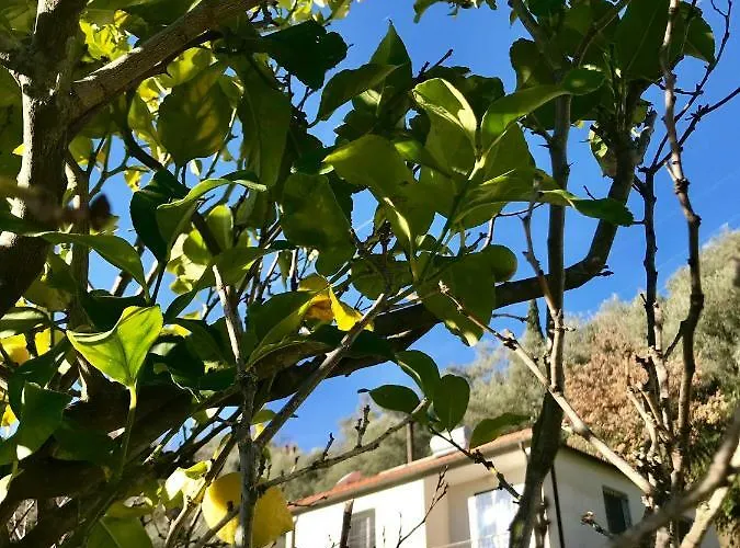 Casa Mediterraneo Diano San Pietro