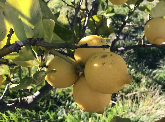 Casa Mediterraneo * Diano San Pietro