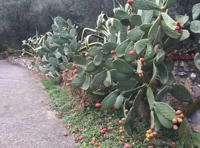 Casa Mediterraneo Diano San Pietro