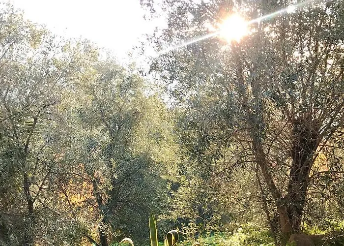 Semesterbostad Casa Mediterraneo